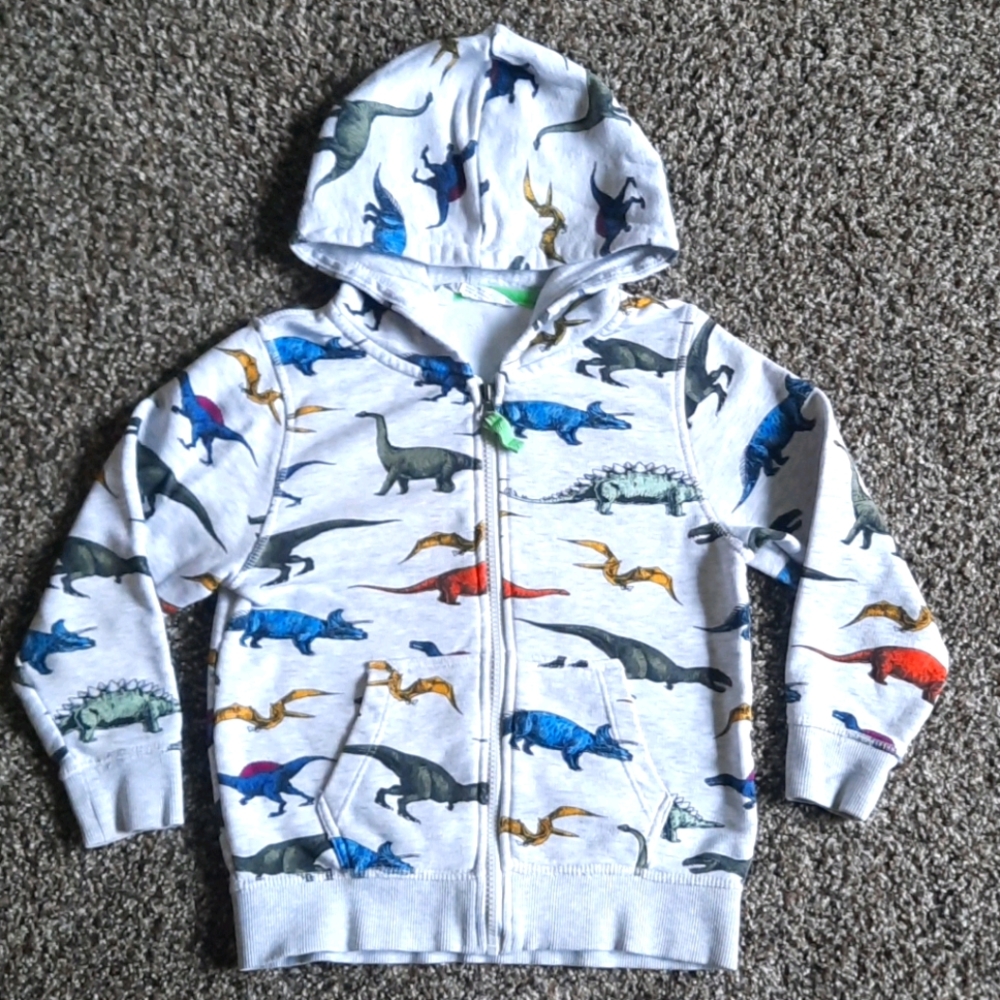 H&M dinosaur zip up hoodie, spring jacket